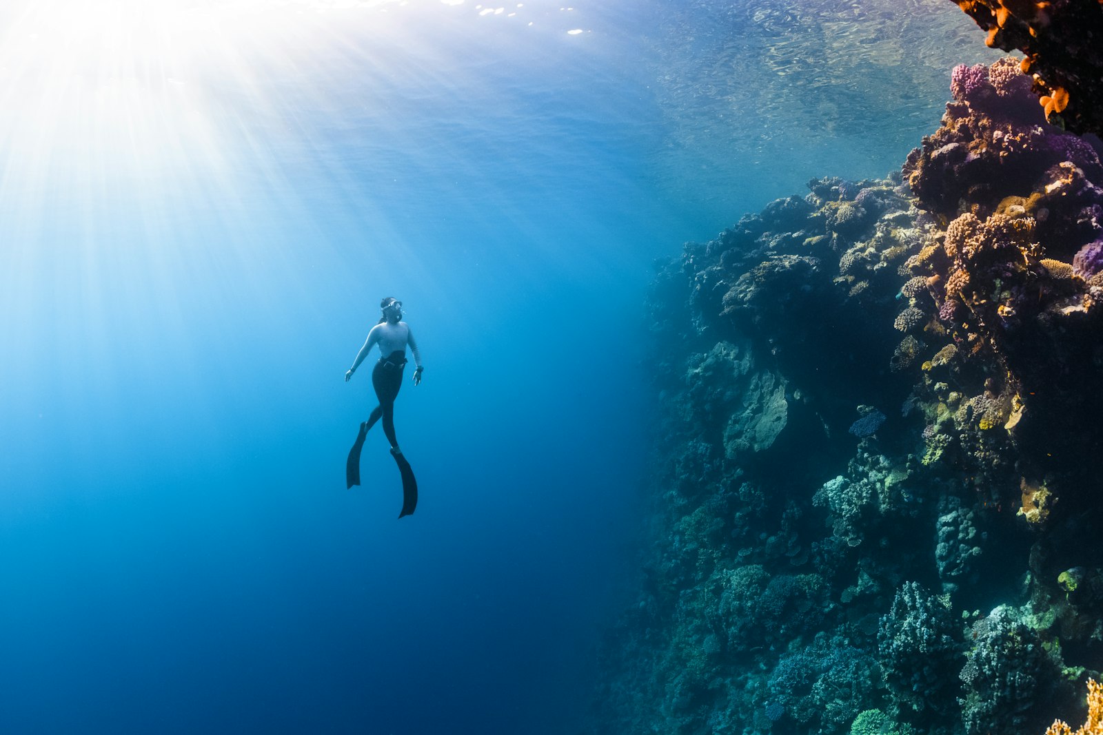 Scuba Diving